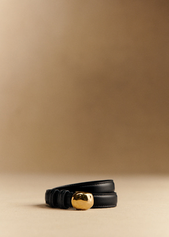Lisa Belt